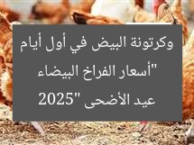 “أسعار الفراخ البيضاء وكرتونة البيض في أول أيام عيد الأضحى 2025”