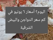 كم سعر الدواجن والبيض اليوم؟ أسعار 6 يونيو في الشرقية