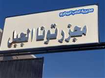 استعدادا للعيد.. تعقيم المجازر ورش وتجريع الماشية في المنيا