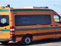 مصرع سيدتين في حريق داخل حوش مواشي بقنا