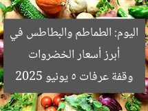 أبرز أسعار الخضروات اليوم: الطماطم والبطاطس في وقفة عرفات 5 يونيو 2025