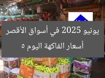 أسعار الفاكهة اليوم 5 يونيو 2025 في أسواق الأقصر