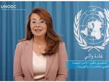 غادة والي تكشف سبب استقالتها من منصبها الأممي (فيديو)