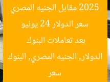 سعر الدولار 24 يونيو 2025 مقابل الجنيه المصري بعد تعاملات البنوك  
سعر الدولار, الجنيه المصري, البنوك