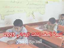 لينك نتيجة 3 ابتدائي 2025 الترم الثاني في محافظة القاهرة «بوابة التعليم الأساسية»