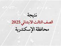 ظهرت رسميًا.. نتيجة الصف الثالث الابتدائي الترم الثاني 2025 في الإسكندرية