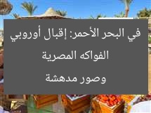 الفواكه المصرية في البحر الأحمر: إقبال أوروبي وصور مدهشة
