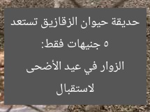 5 جنيهات فقط: حديقة حيوان الزقازيق تستعد لاستقبال الزوار في عيد الأضحى