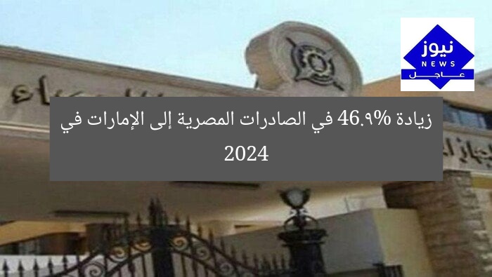 زيادة 46.9% في الصادرات المصرية إلى الإمارات في 2024