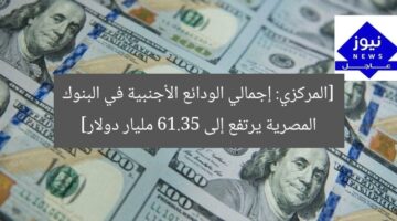 [المركزي: إجمالي الودائع الأجنبية في البنوك المصرية يرتفع إلى 61.35 مليار دولار]