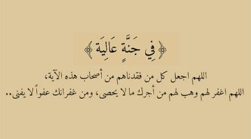 دعاء لأبي المتوفي في يوم عرفة.. اللهم اجعل قبر أبي روضة من رياض الجنة