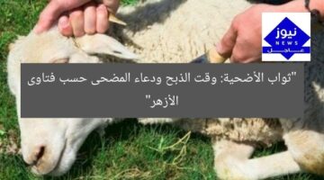 “كيف تأخذ ثواب الأضحية؟ مركز الأزهر يوضح وقت الذبح ودعاء المضحى”  
ثواب الأضحية, وقت الذبح, دعاء المضحى