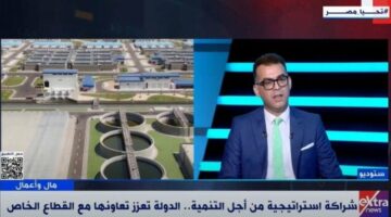 أستاذ قانون: تحرك الأفراد في البورصة يعكس تغيرًا في العقلية الاستثمارية