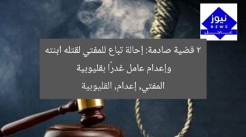 2 قضية صادمة: إحالة تباع للمفتي لقتله ابنته وإعدام عامل غدرًا بقليوبية  
المفتي, إعدام, القليوبية