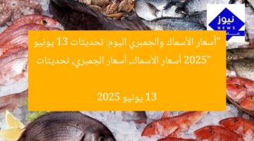 “أسعار الأسماك والجمبري اليوم: تحديثات 13 يونيو 2025”  
أسعار الأسماك, أسعار الجمبري, تحديثات 13 يونيو 2025