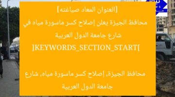 [العنوان المعاد صياغته]  
محافظ الجيزة يعلن إصلاح كسر ماسورة مياه في شارع جامعة الدول العربية  

[KEYWORDS_SECTION_START]  
محافظ الجيزة, إصلاح كسر ماسورة مياه, شارع جامعة الدول العربية