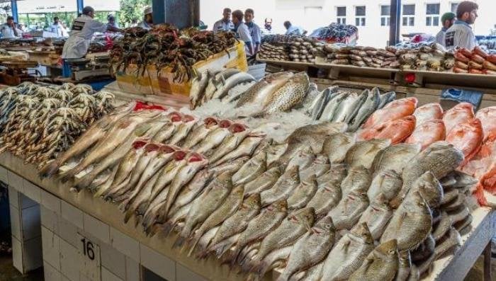البوري بـ120 جينهًا.. أسعار الأسماك والجمبري اليوم الإثنين 2 يونيو 2025