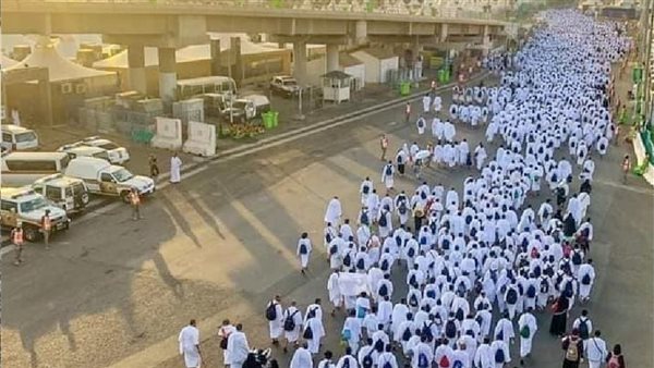 التضامن: استلام 283 حافلة استعدادًا لتصعيد الحجاج إلى عرفات