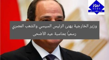 وزير الخارجية يهنئ الرئيس السيسي والشعب المصري رسميًا بمناسبة عيد الأضحى