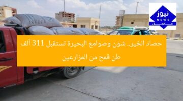 حصاد الخير.. شون وصوامع البحيرة تستقبل 311 ألف طن قمح من المزارعين