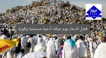فضل الدعاء يوم عرفه: أدعية مستحبة وقوية