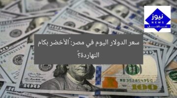 سعر الدولار اليوم في مصر: «الأخضر بكام النهاردة؟»