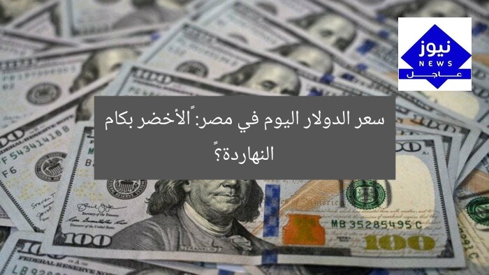 سعر الدولار اليوم في مصر: «الأخضر بكام النهاردة؟»