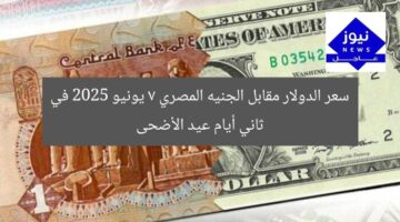 سعر الدولار مقابل الجنيه المصري 7 يونيو 2025 في ثاني أيام عيد الأضحى