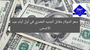 سعر الدولار مقابل الجنيه المصري في أول أيام عيد الأضحى