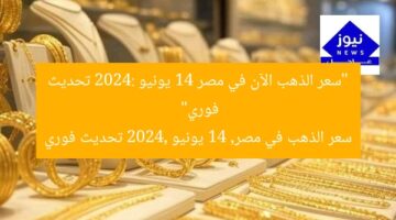 “سعر الذهب الآن في مصر 14 يونيو 2024: تحديث فوري”  
سعر الذهب في مصر, 14 يونيو 2024, تحديث فوري