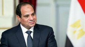 الرئيس السيسى وبن زايد يؤكدان أهمية الوقف الفورى لإطلاق النار فى غزة