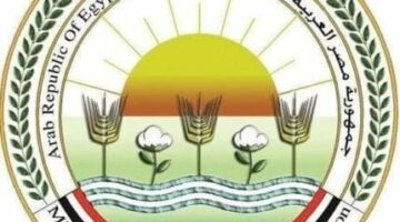 «الزراعة»: ذبح أكثر من 28 ألف أضحية بالمجان للمواطنين خلال أيام العيد