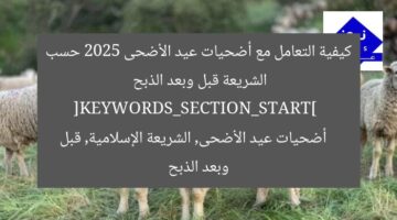 “كيفية تعامل أضحية عيد الأضحى 2025 حسب الشريعة قبل وبعد الذبح”