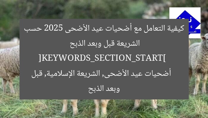 “كيفية تعامل أضحية عيد الأضحى 2025 حسب الشريعة قبل وبعد الذبح”