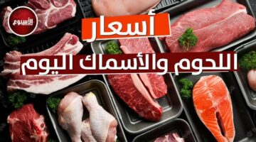 الضأن بـ 418.54 جنيه.. أسعار اللحوم اليوم الثلاثاء 10 يونيو 2025