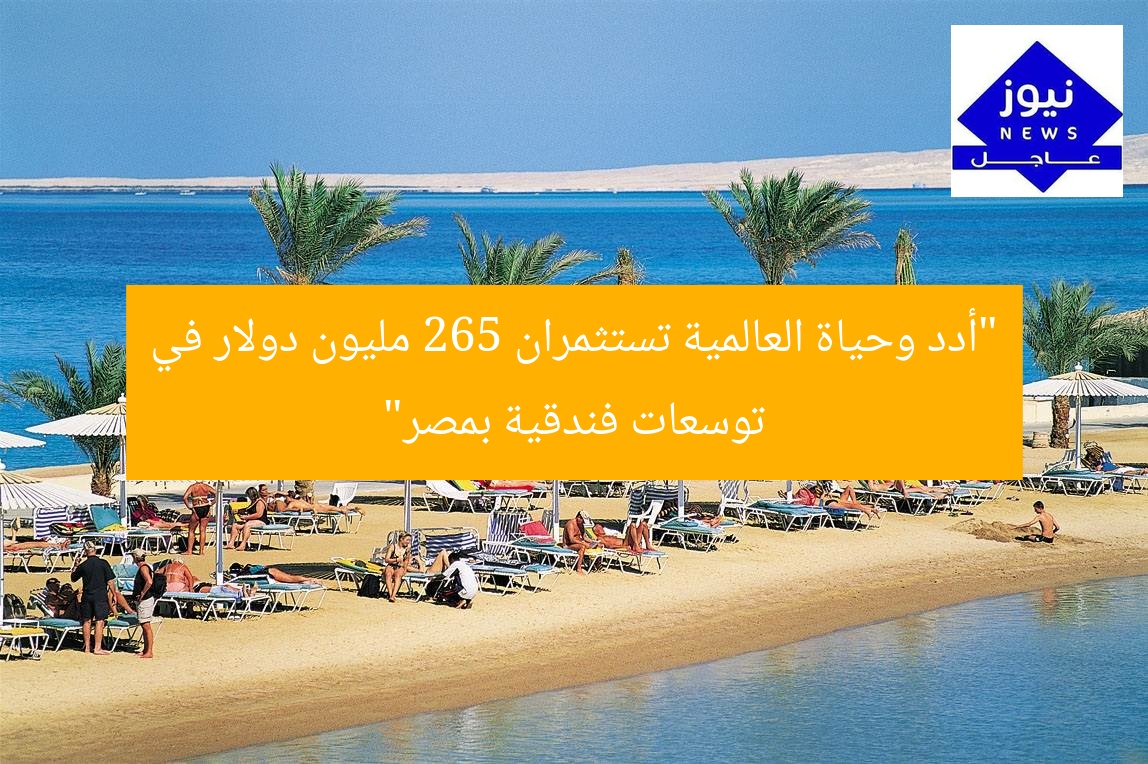 “أدد وحياة العالمية تستثمران 265 مليون دولار في توسعات فندقية بمصر”