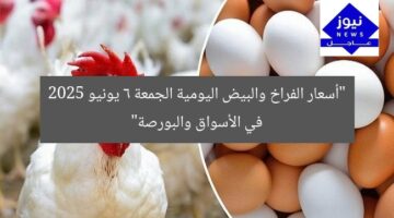 “أسعار الفراخ والبيض اليومية الجمعة 6 يونيو 2025 في الأسواق والبورصة”