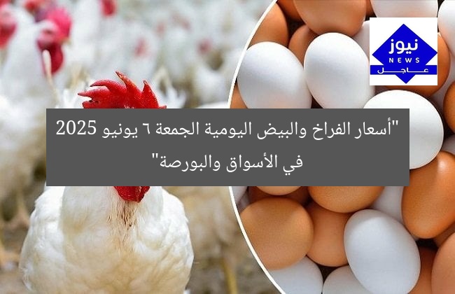 “أسعار الفراخ والبيض اليومية الجمعة 6 يونيو 2025 في الأسواق والبورصة”