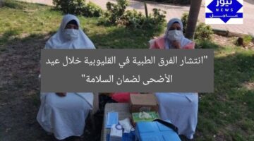 “انتشار الفرق الطبية في القليوبية خلال عيد الأضحى لضمان السلامة”