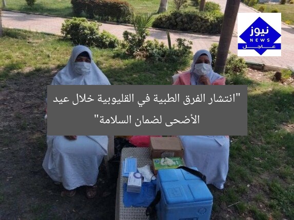 “انتشار الفرق الطبية في القليوبية خلال عيد الأضحى لضمان السلامة”