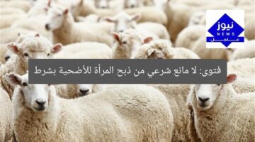 فتوى: لا مانع شرعي من ذبح المرأة للأضحية بشرط