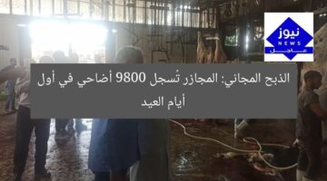 الذبح المجاني: المجازر تُسجل 9800 أضاحي في أول أيام العيد