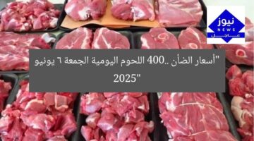 “أسعار الضأن 400.. اللحوم اليومية الجمعة 6 يونيو 2025”