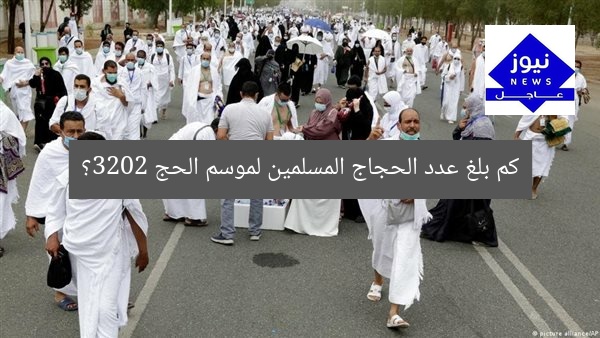 كم بلغ عدد الحجاج المسلمين لموسم الحج 2023؟