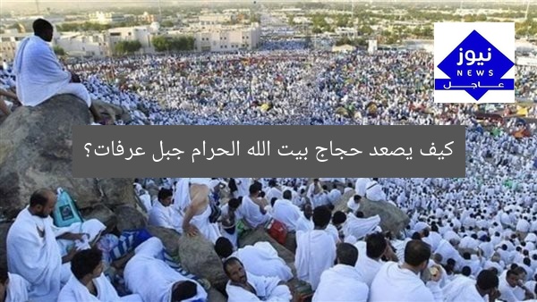 “حجاج بيت الله يقضون يوم عرفات: رحلة روحية لا تُنسى”