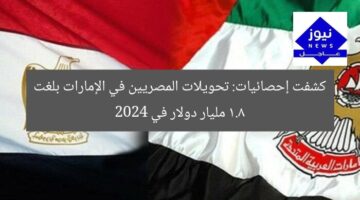 تحويلات المصريين في الإمارات تصل إلى 1.8 مليار دولار في 2024