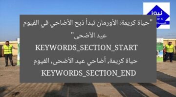 “حياة كريمة: الأورمان تبدأ ذبح الأضاحي في الفيوم عيد الأضحى”  
KEYWORDS_SECTION_START  
حياة كريمة, أضاحي عيد الأضحى, الفيوم  
KEYWORDS_SECTION_END