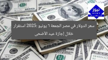 سعر الدولار في مصر الجمعة 6 يونيو 2025: استقرار خلال إجازة عيد الأضحى