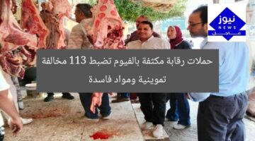 حملات رقابة مكثفة بالفيوم تضبط 113 مخالفة تموينية ومواد فاسدة