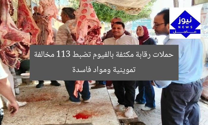 حملات رقابة مكثفة بالفيوم تضبط 113 مخالفة تموينية ومواد فاسدة
